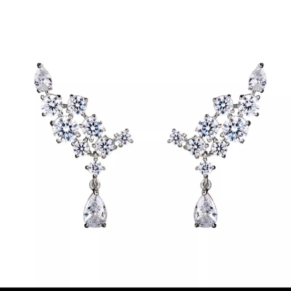 Jewelry - Luxury Climbing Earrings